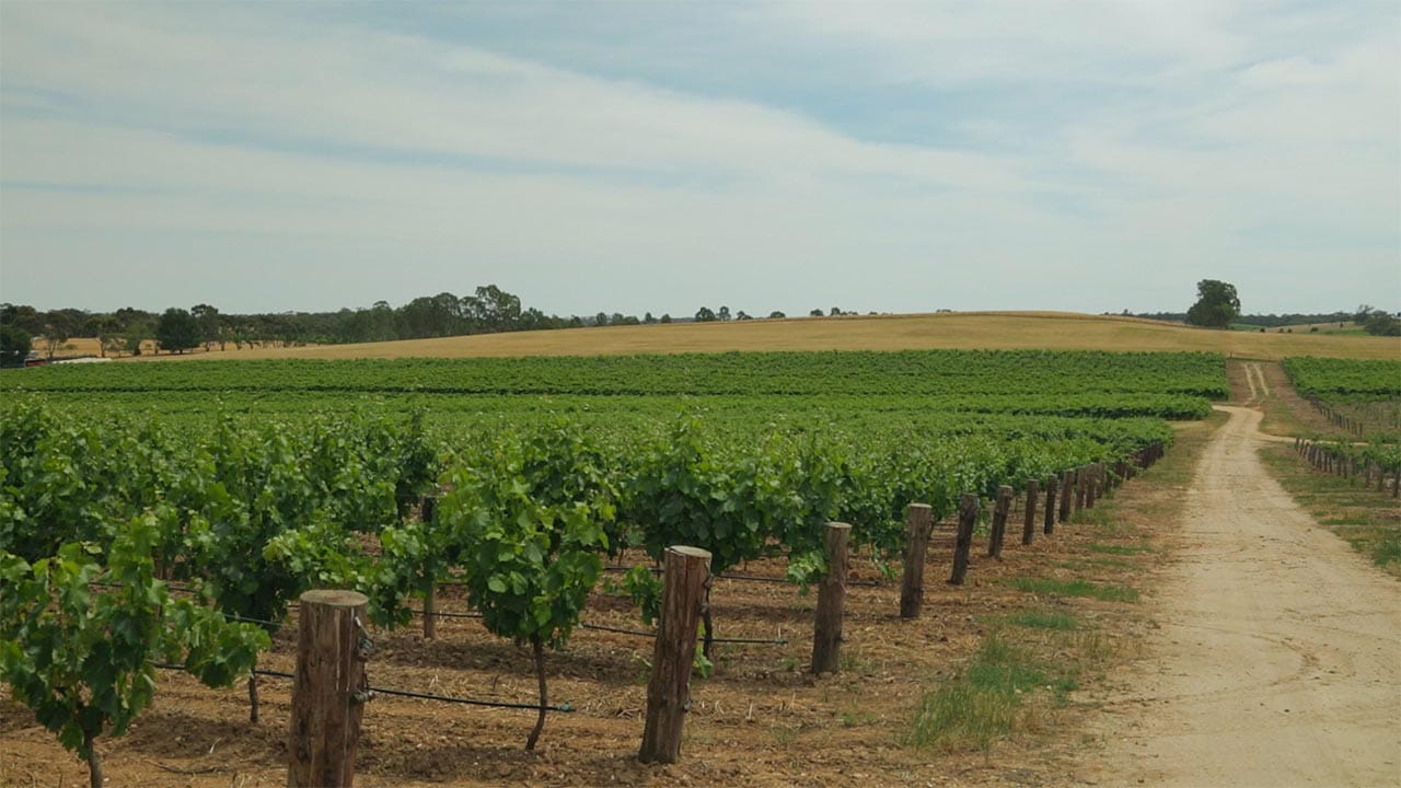 Barossa Valley In 2 Days  Post feature image