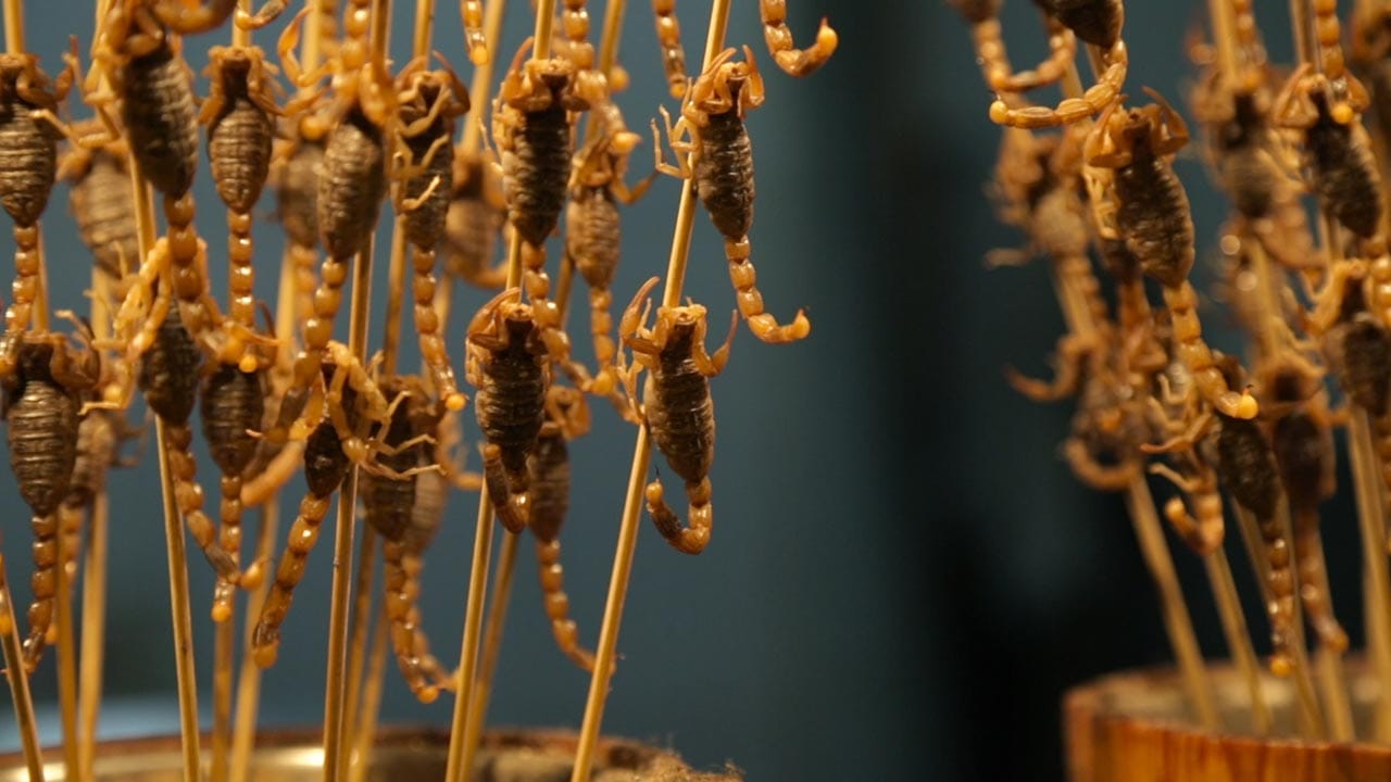 Fried Scorpions In Beijing  Post feature image
