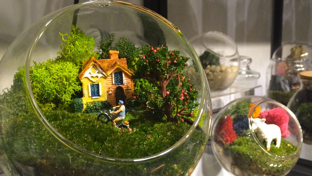 Terrarium Workshop In Kwun Tong  Post feature image