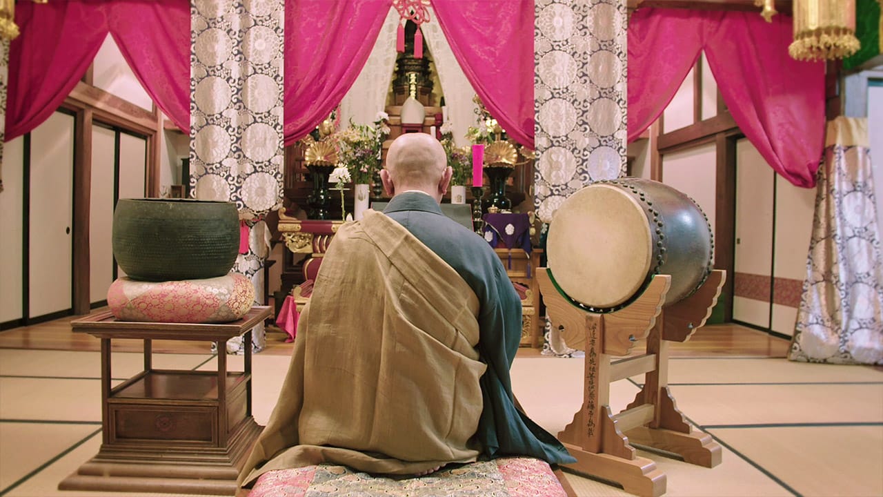 The Zen Experience  Post feature image