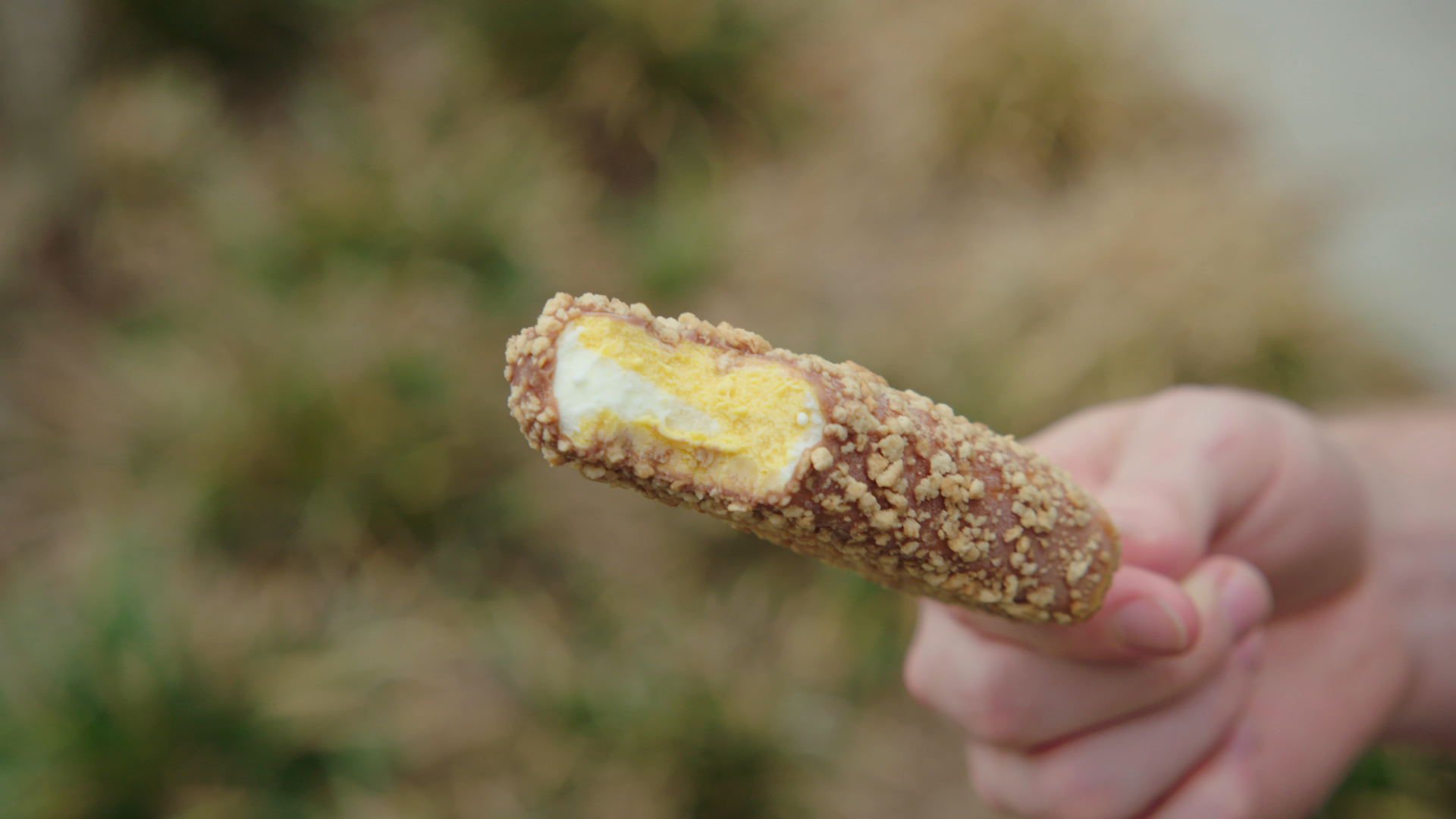 Golden Gaytime Australian Ice Cream