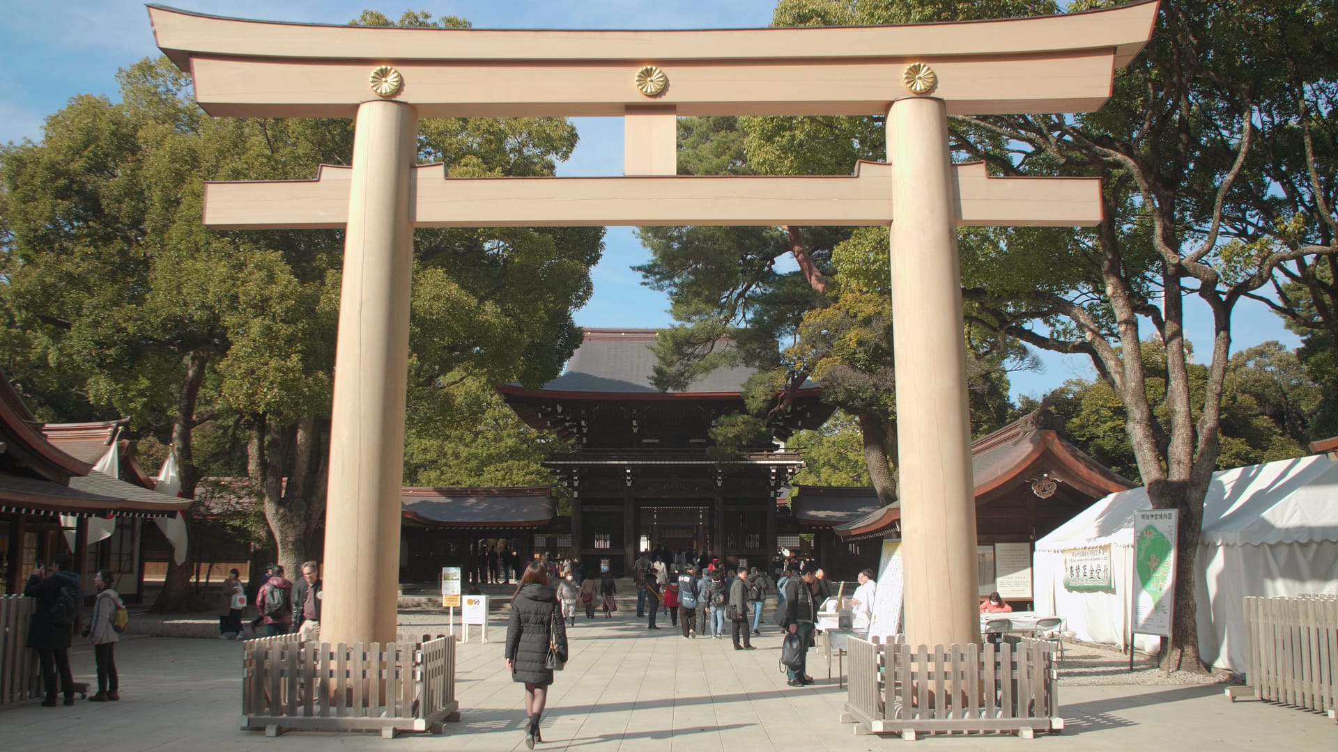 Meiji Shrine Torii