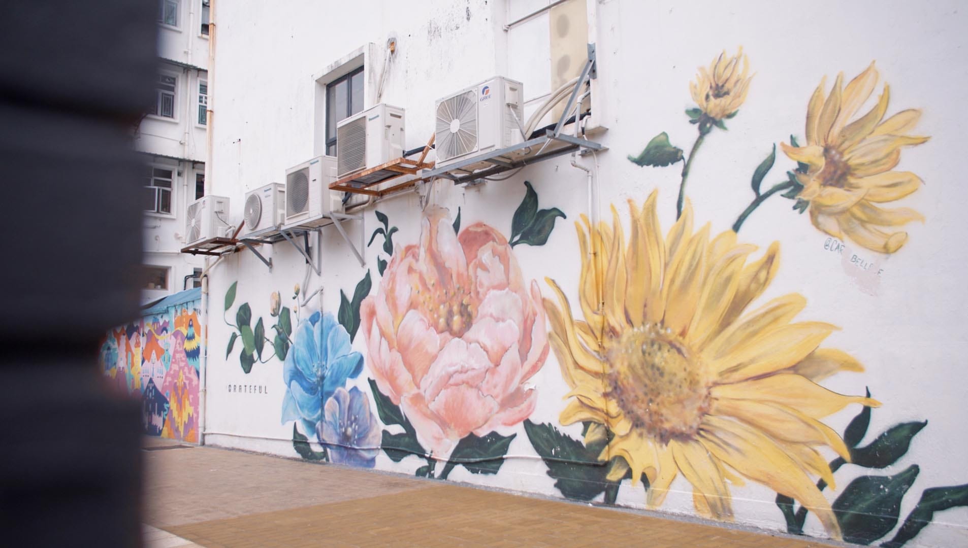 Sai Kung Wall Flowers